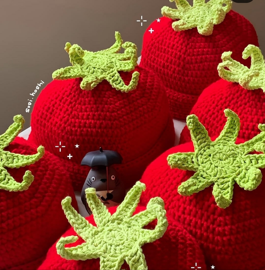 Crocheted Tomato Hat
